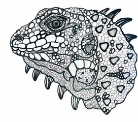 Hand drawn illustration of a lizard.