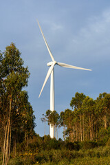 wind turbines generating green energy viewed between tree tops