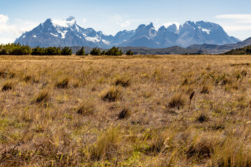 Golden Pampas and snowy mountains of Torres del Paine National Park in Chile, Patagonia, South America