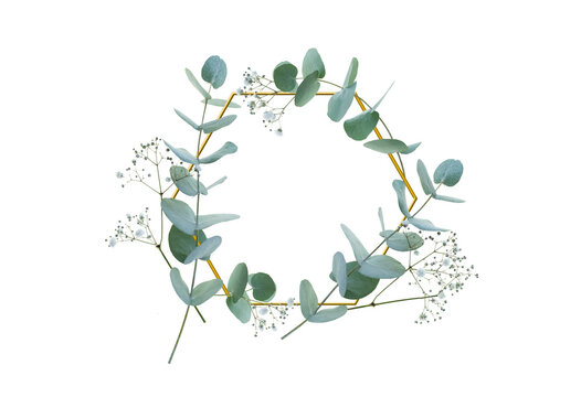 Wreath of eucalyptus and gypsophila braided in golden frame. Isolated on transparent background. Top view flat lay. Botanical nature design for sustainable wedding concepts and decorations with space