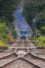 Fototapeta premium 樽見鉄道
