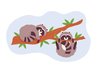Couple of raccoons playing and sleeping on tree branches, cartoon flat vector illustration isolated on white background. © Kudryavtsev