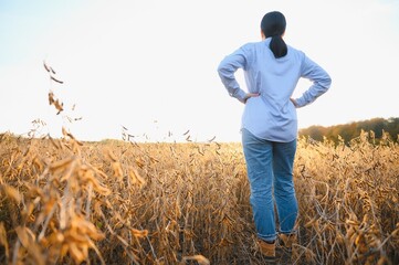Caucasian female farm worker inspecting soy at field summer evening time somewhere in Ukraine