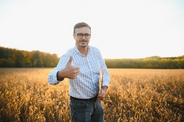 Naklejka na ściany i meble Agronomist inspects soybean crop in agricultural field - Agro concept - farmer in soybean plantation on farm