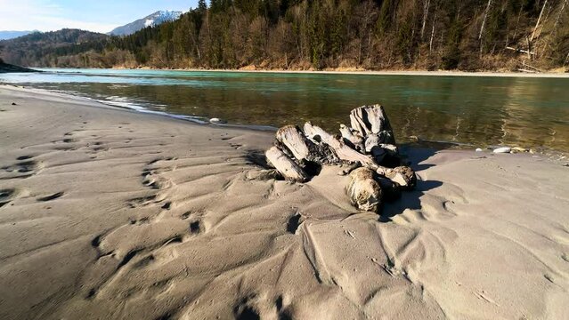 SLOMO - Driftwood buried in the sand on the Tyrolean bank of the Inn
