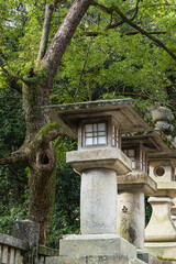 日本　香川県仲多度郡琴平町にある金刀比羅宮の境内にある灯籠