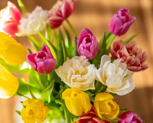 Bukiet kolorowych tulipanów - obrazy, fototapety, plakaty