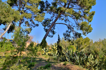 Bosque Mediterráneo, Tarragona