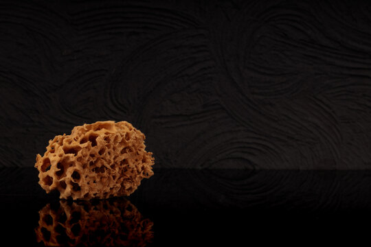 Natural sponge from the ocean on a black background. Organic product, space for text.