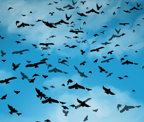 a flock of birds flying in the cloudy blue sky