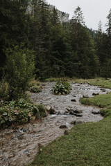 Fototapeta na wymiar Small forest river. Picturesque view on river in the spring forest