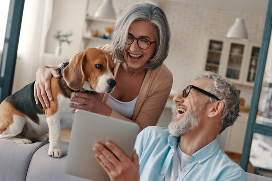 Happy senior couple spending fun time with their dog at home