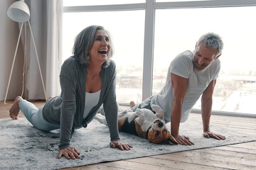 Happy senior couple practicing yoga with their dog at home together - 578328900