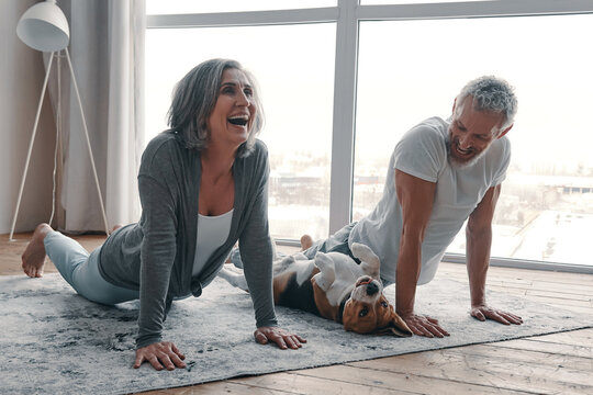 Happy senior couple practicing yoga with their dog at home together