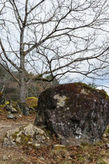 日本　兵庫県朝来市の立雲峡の展望台までの道