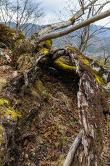 Fototapeta premium 日本 兵庫県朝来市の立雲峡の展望台までの道