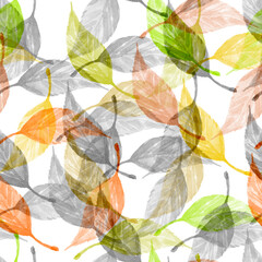 Autumn Leaves pattern on white background