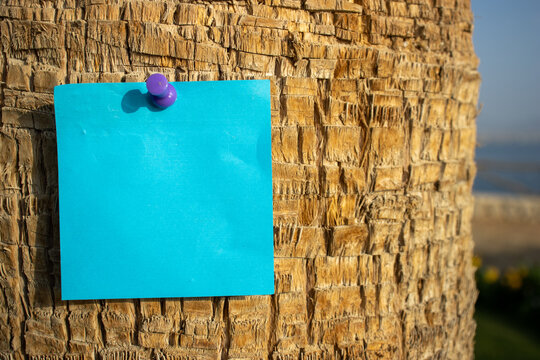 a blue square paper note with mapping pin on a palm tree with empty free space for template or blank copy area 