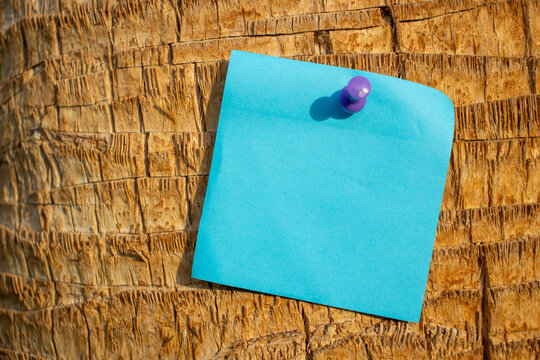 a blue square paper note with mapping pin on a palm tree with empty free space for template or blank copy area 