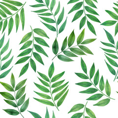 Spring green tropical leaves seamless pattern isolated om white. Watercolor fresh foliage. Summer greenery background. Romantic leafy repeated print