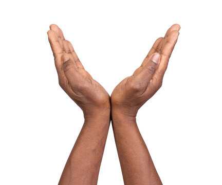 Charity, protection and care gesture. Black male hands keep empty cupped palms together isolated on white or transparent background