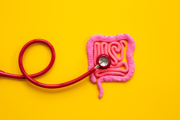 Digestive colon system health concept. Intestines shape made of plasticine with stethoscope