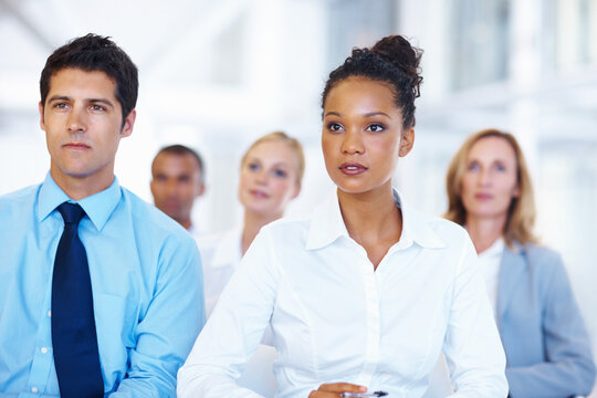 Business Presentation. Portrait Of Multi Racial Business People In Presentation.