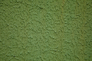 green wall background