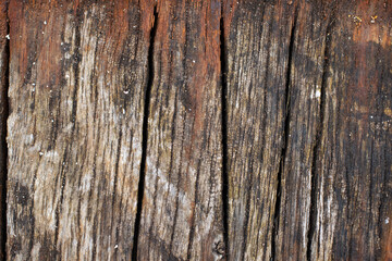 gros plan sur une vieille planche de bois usée et vermoulue pouvant servir d'arrière plan et de texture pour fond de page