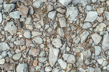 Background with stones scattered on the ground and small natural debris. Natural countryside background.