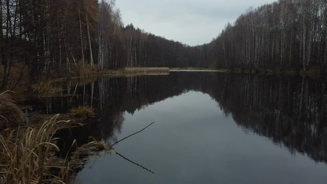 Drone photography of a small lake in the forest in autumn. Algae and dry reeds grow near the shore.