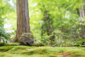 京都 大原三千院の庭園に寝そべる可愛らしいお地蔵さま