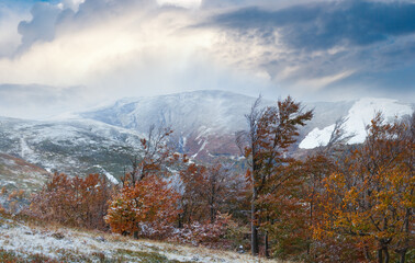 October Carpathian mountain Borghava plateau with first winter snow and autumn foliage.