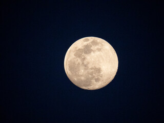 満月 © knh09020