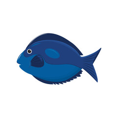 blue fish design. Marine animals underwater. Colorful, cute illustrations for clothes, pictures, wallpapers for kids. PNG