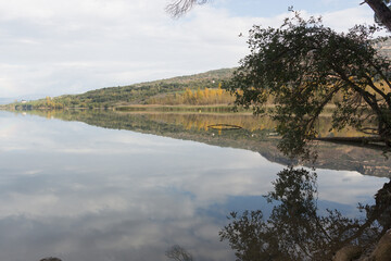 Reflections in the lake