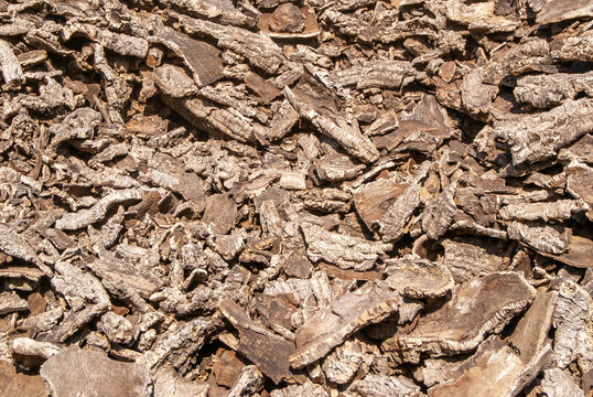Fondos o texturas de cortezas de corcho del Alcornoque.