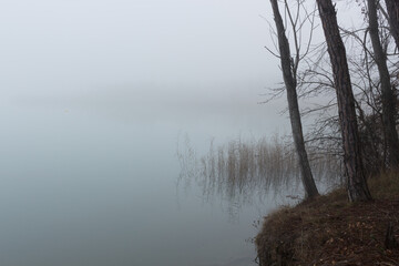 Fototapeta na wymiar Foggy trees on the lake