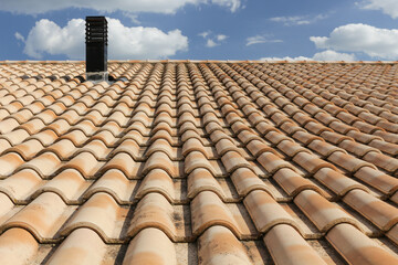 Roof with chimney