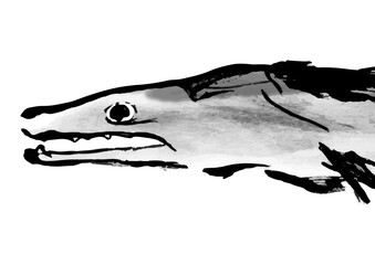 鱧の手描き和風イラスト素材　白黒,モノクロ,単色