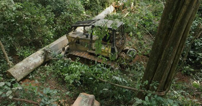 Aerial.Bulldozer in thick undergrowth manoeuvring the trunk of a fallen hardwood tree in a tropical rainforest. Climate Change.Deforestation