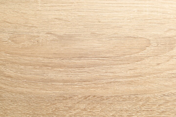 Obraz premium wood texture with natural pattern