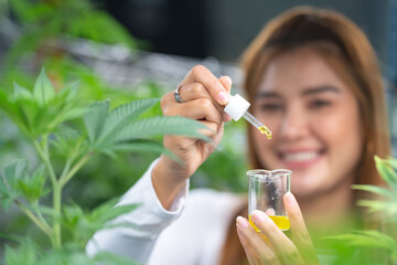 Scientist wearing glasses and gloves checking hemp plants in a marijuana farm, Marijuana research for CBD oil, alternative herbal medicine concept, pharmaceutical industry laboratory for business