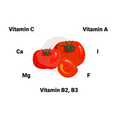 Fototapeta na wymiar Vector tomato with its vitamins and minerals. Educational health benefits poster, illustration.