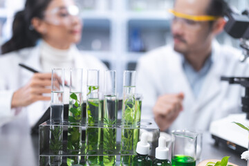 Pharmaceutical factory woman worker in protective clothing operating production line in sterile environment, scientist with glasses and gloves checking hemp plants in a marijuana farm