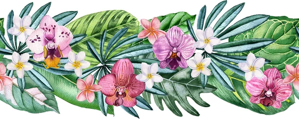 Zelfklevend Fotobehang watercolor drawing green tropical leaves and orchid and plumeria flowers, floral seamless border, exotic natural pattern at white background , hand drawn illustration © cat_arch_angel