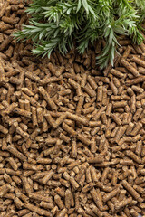 Production of wood pellets. A type of wood fuel.