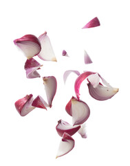 Shallots fall fly in mid air, red fresh vegetable spice shallots onion floating. Organic fresh herbal shallots root head cut chop slice. White background isolated freeze motion high speed shutter - obrazy, fototapety, plakaty