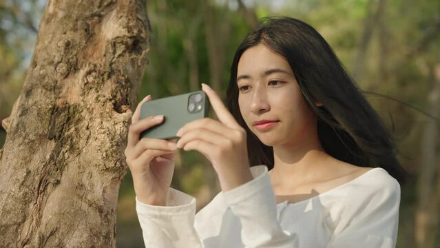 Asian woman taking selfie with smartphone at view tree beach