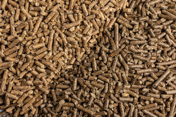 Production of wood pellets. A type of wood fuel.